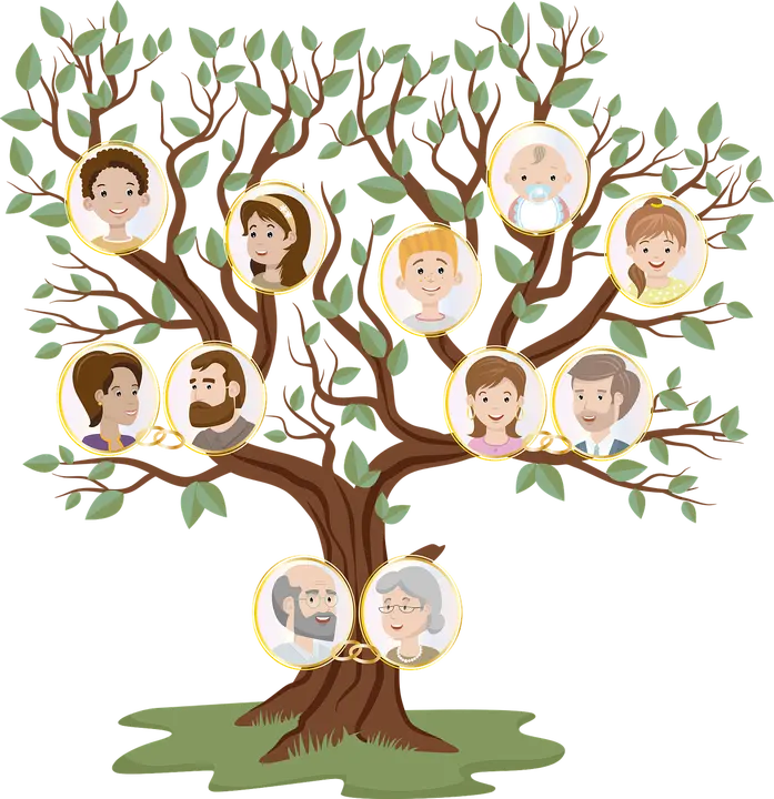family-tree.webp